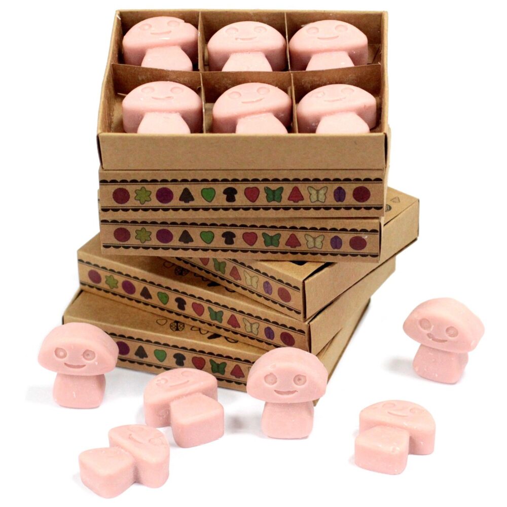 Box of 6 Wax Melts - Coffee Trader