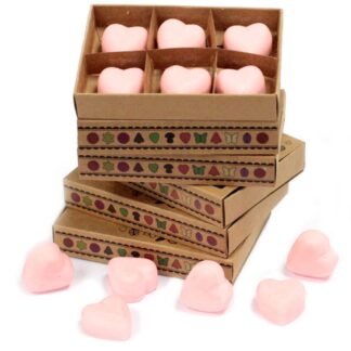 Box of 6 Wax Melts - Dragon's Blood