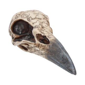 Edgar's Raven Skull Figurine Edgar Allen Poe Ornament 21cm