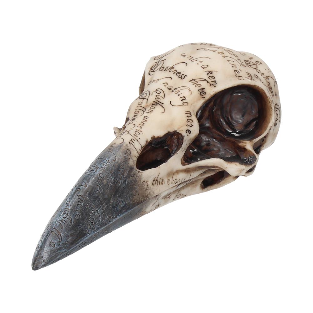 Edgar's Raven Skull Figurine Edgar Allen Poe Ornament 21cm