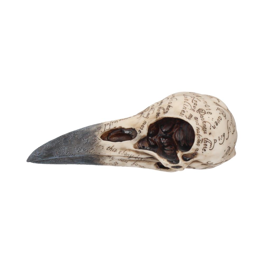 Edgar's Raven Skull Figurine Edgar Allen Poe Ornament 21cm