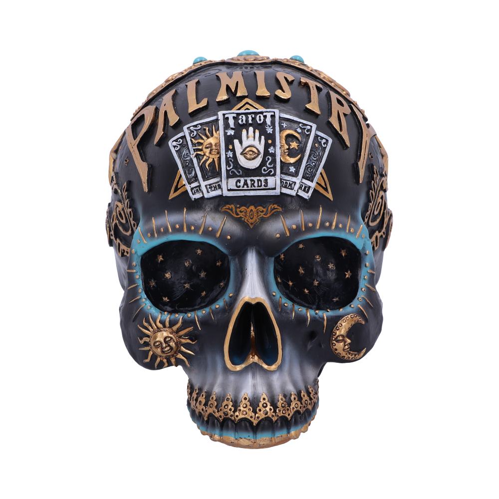 Destiny Palmistry Skull 18cm