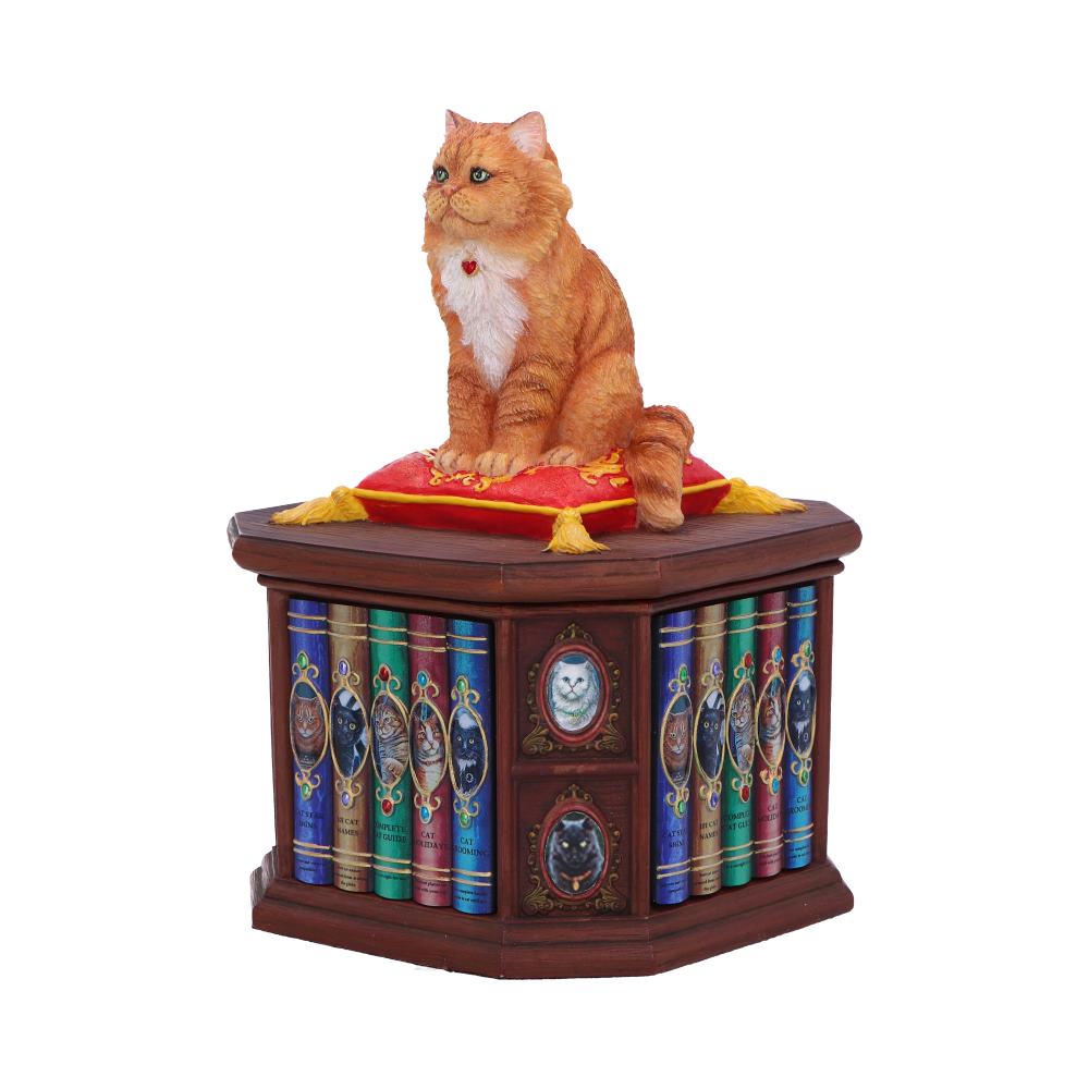 Mad About Cats Box by Lisa Parker 16.5cm