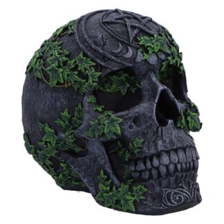 Aged Pentagram Skull Figurine 18.8cm