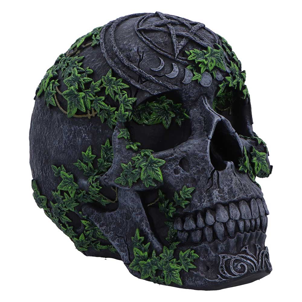 Aged Pentagram Skull Figurine 18.8cm