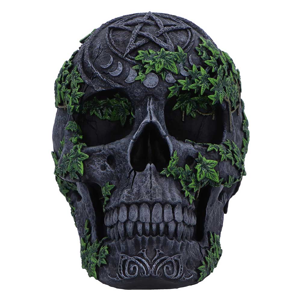 Aged Pentagram Skull Figurine 18.8cm