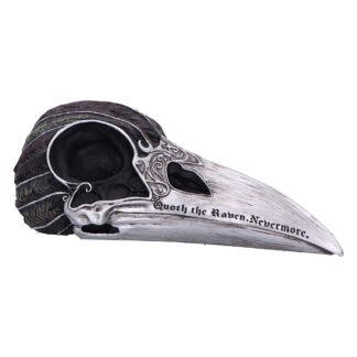 Quoth The Raven Skull Ornament 7.5cm