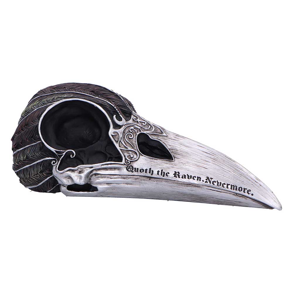 Quoth The Raven Skull Ornament 7.5cm