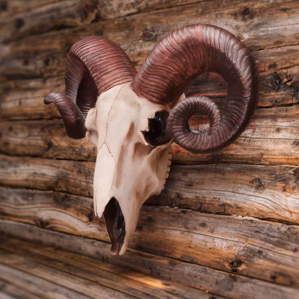 Realistic Wall Mounted Rams Skull 33cm