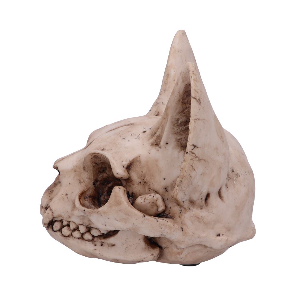 Bastet's Secret Cat Skull Figurine Ornament 15cm