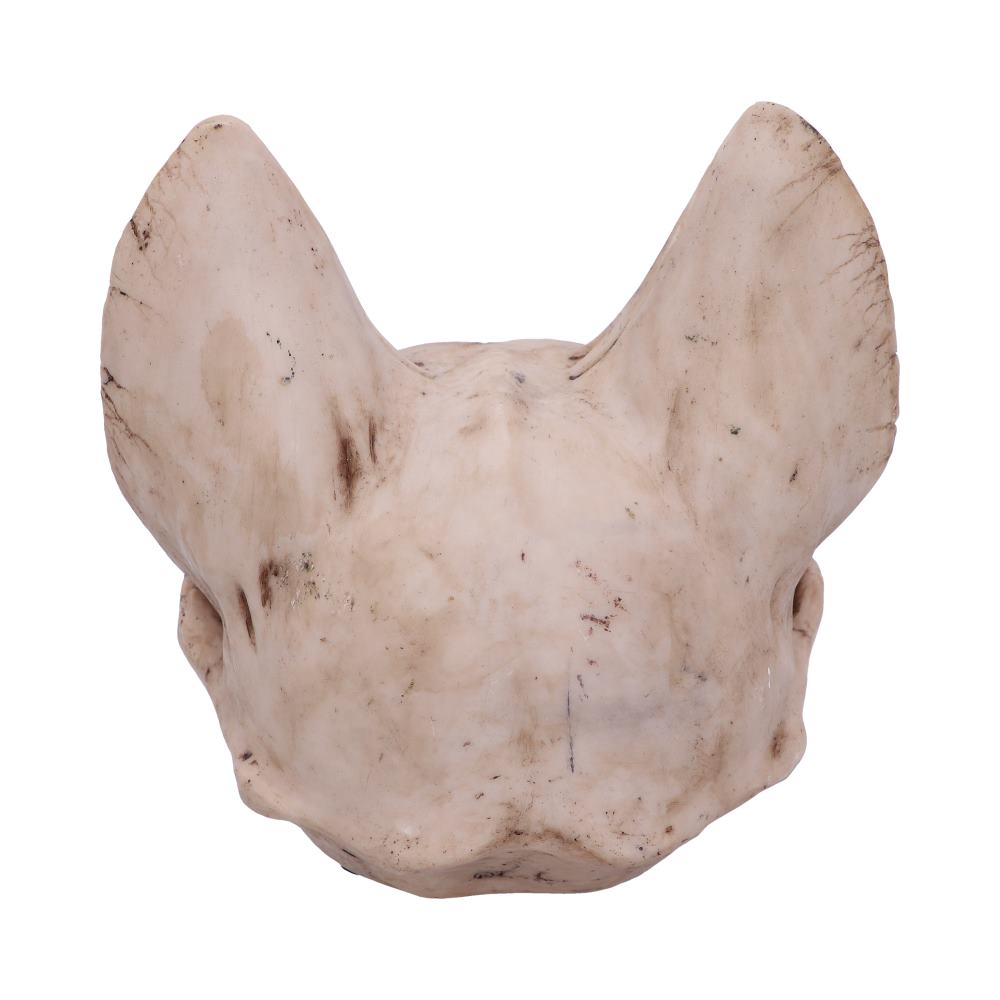 Bastet's Secret Cat Skull Figurine Ornament 15cm