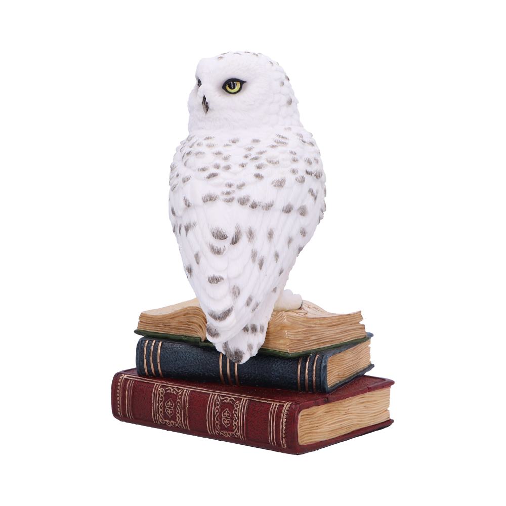 Library of Wisdom White Owl Figurine 17cm
