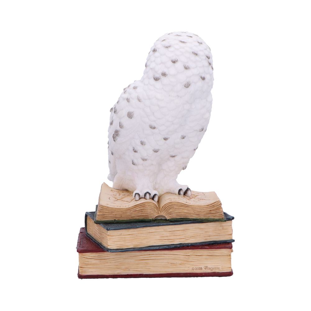 Library of Wisdom White Owl Figurine 17cm
