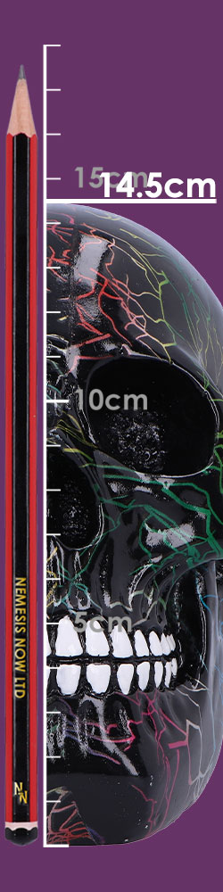 Electro Decorative Resin Skull 17.5cm