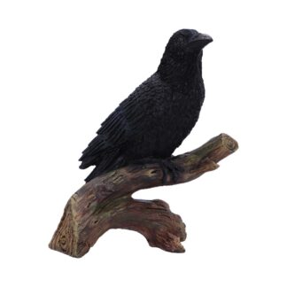 Ravens Perch Resin Figurine 20cm