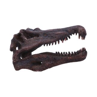 Spinosaurus Skull Resin Replica 16cm