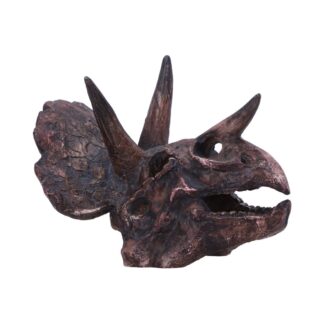Triceratops Skull Resin Replica 14.5cm