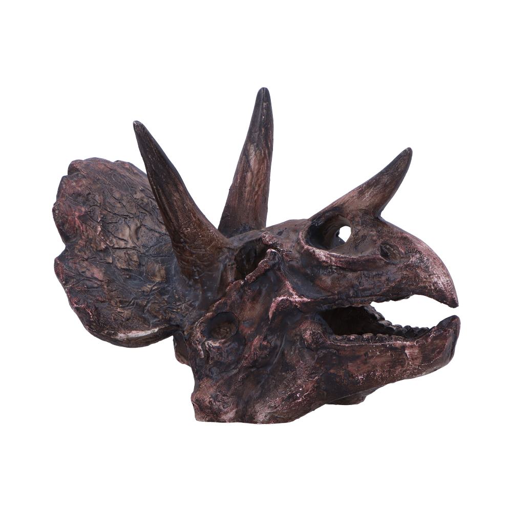 Triceratops Skull Resin Replica 14.5cm