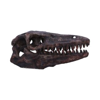 Archaeopteryx Skull Decorative Resin Replica 18cm