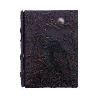 Raven's Grimoire Journal 19cm