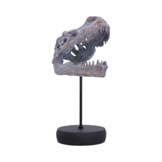 Tyrannosaurus Rex Skull on Plinth 24.2cm