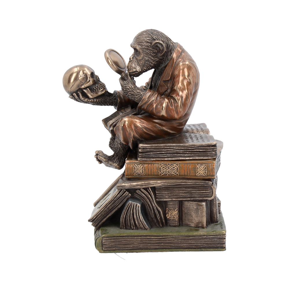 Darwinism of Evolutionary Theory Figurine Charles Darwin Chimpanzee Ornament 17.5cm