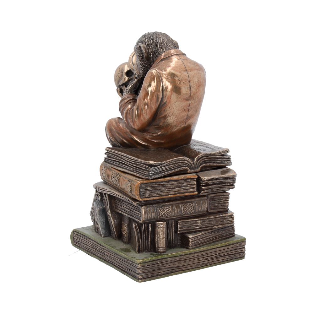 Darwinism of Evolutionary Theory Figurine Charles Darwin Chimpanzee Ornament 17.5cm