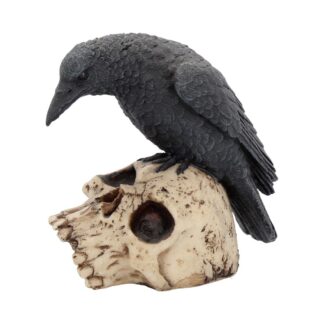 Raven Remains Figurine Crow Skull Gothic Ornament 13cm