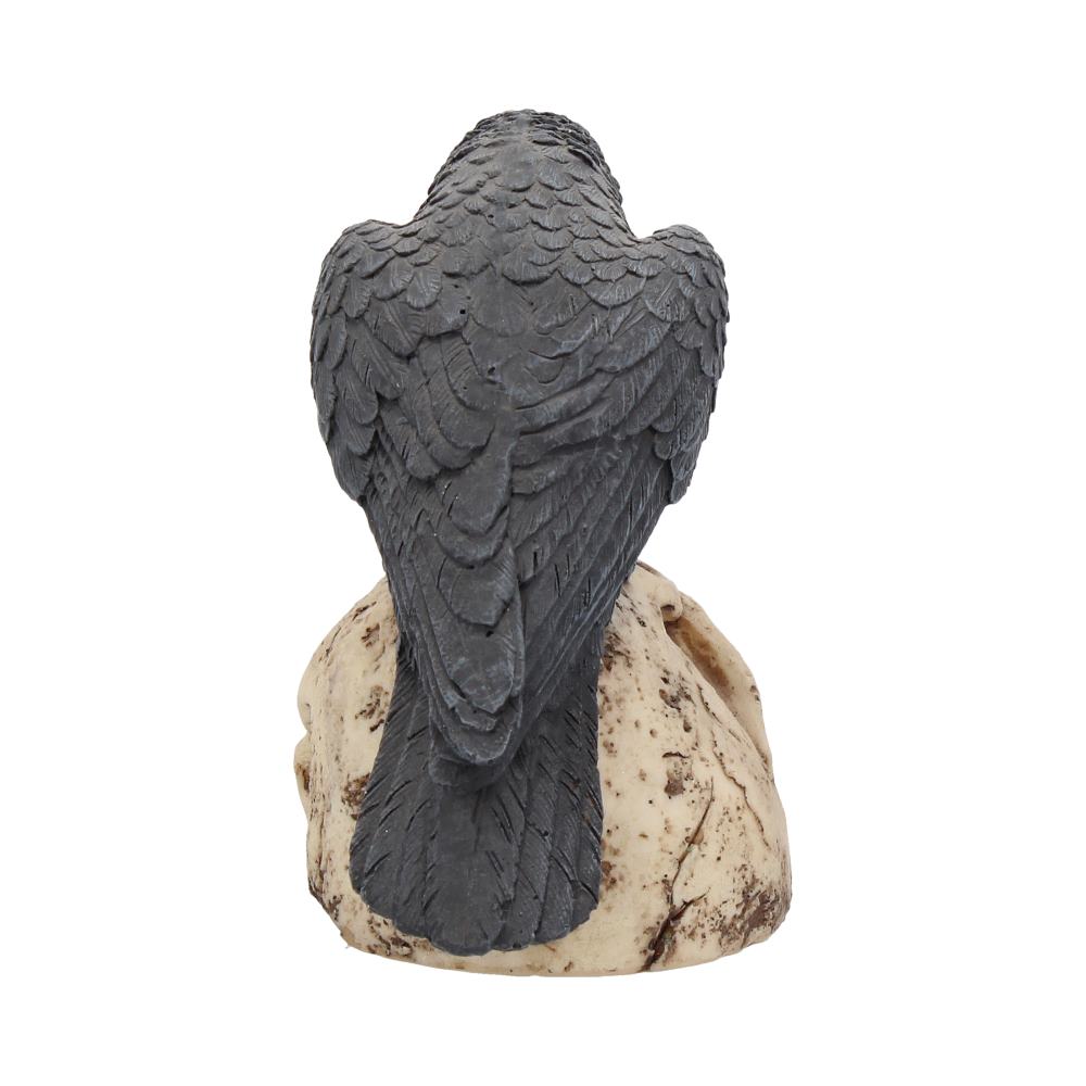 Raven Remains Figurine Crow Skull Gothic Ornament 13cm