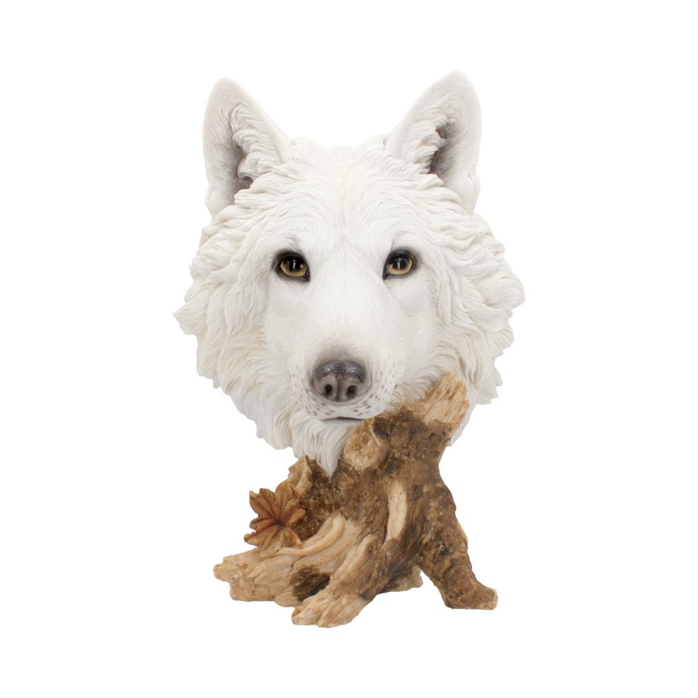 Wild Winter White Wolf Bust 27.5cm