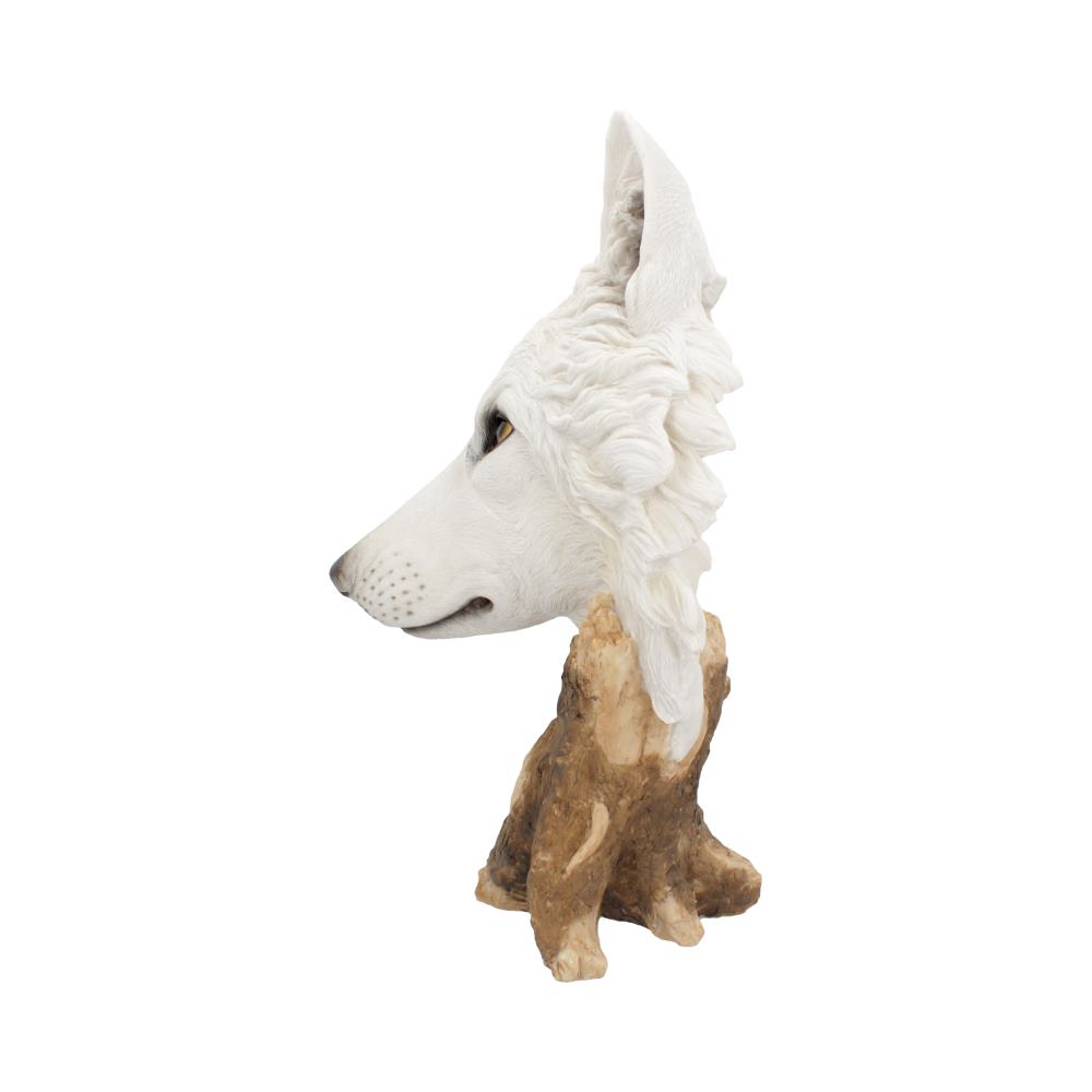 Wild Winter White Wolf Bust 27.5cm
