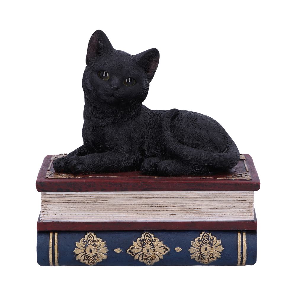 Salems Spells Witches Familiar Black Cat and Spellbook Box 11.7cm