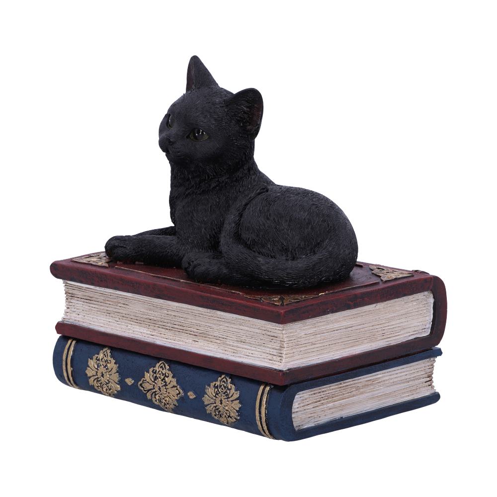 Salems Spells Witches Familiar Black Cat and Spellbook Box 11.7cm
