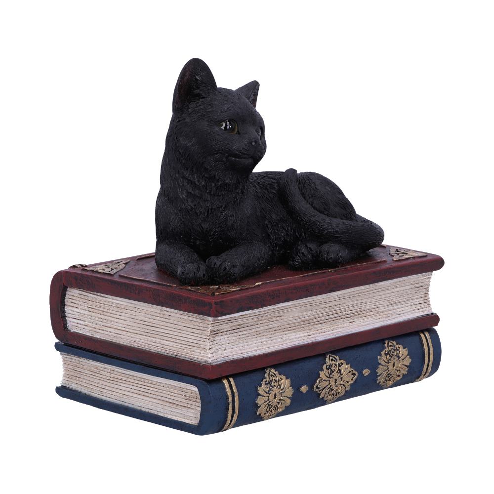 Salems Spells Witches Familiar Black Cat and Spellbook Box 11.7cm