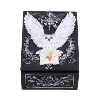 Owl Messenger Trinket Box 14cm