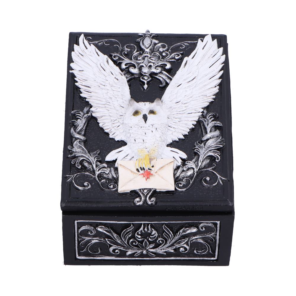 Owl Messenger Trinket Box 14cm