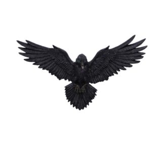 Flight of the Raven Wall Hanging Decoration 35cm