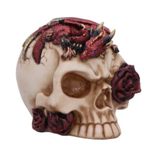 Rose Flame Decorative Skull With Sleeping Dragon 14.5cm