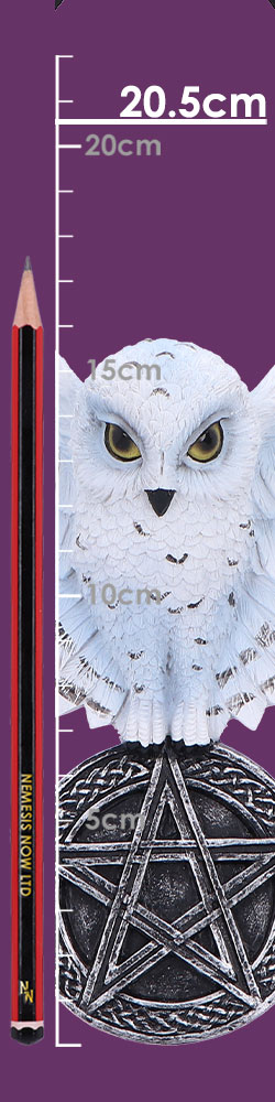Owl Talisman Hanging Decoration 20.5cm
