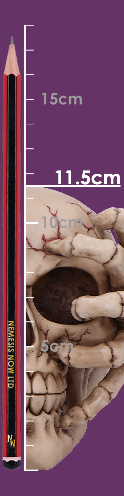 Cracked Decorative Resin Skull 15cm