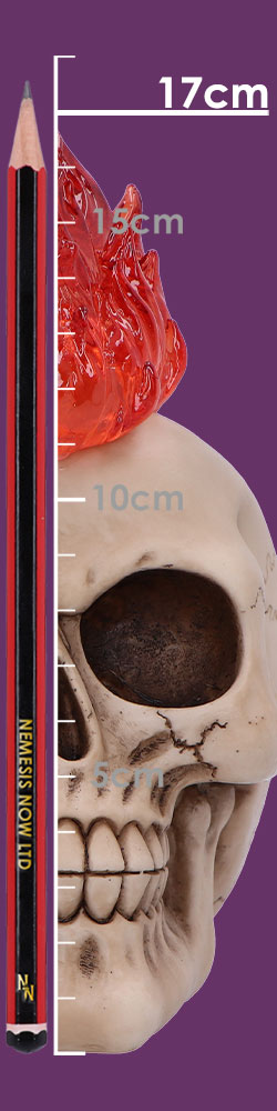 Hot-Headed Decorative Resin Skull 19cm