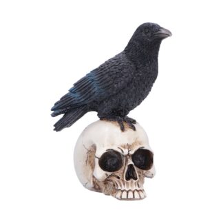 Raven Standing on Skull Figurine 19.5cm