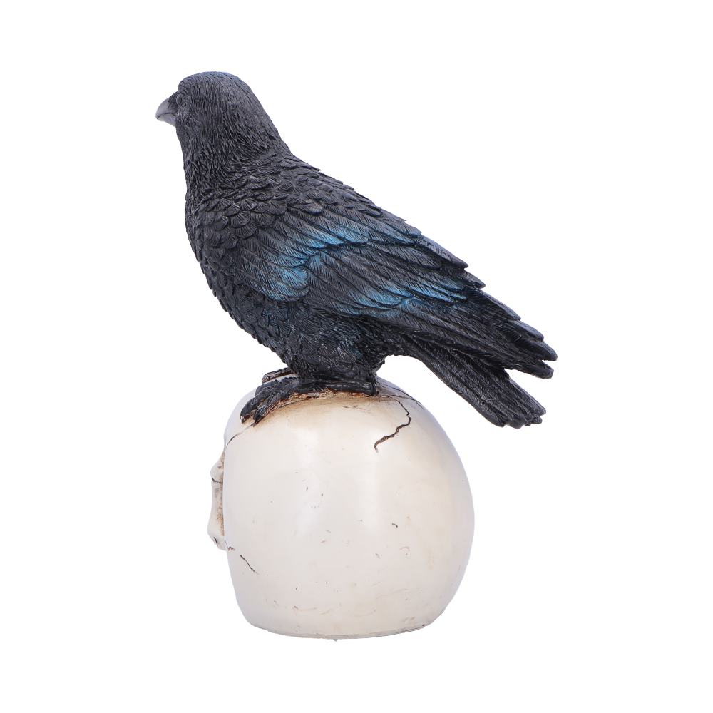 Raven Standing on Skull Figurine 19.5cm
