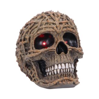 Rooted Vine Skull LED Figurine 15.8cm