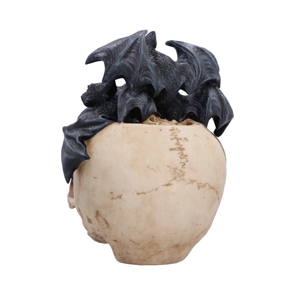 Swarm of Shadows Skull Figurine 19cm