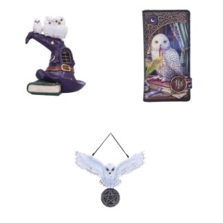 Owl Lover's Gift Set