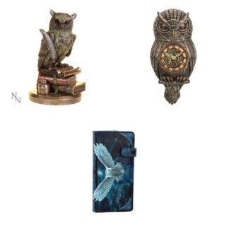 Owl Lover's Gift Set