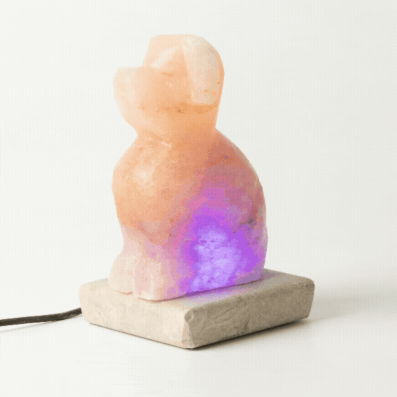 USB Dog Shaped (Multi)