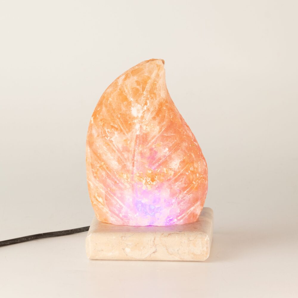 USB leaf Shaped (Multi)