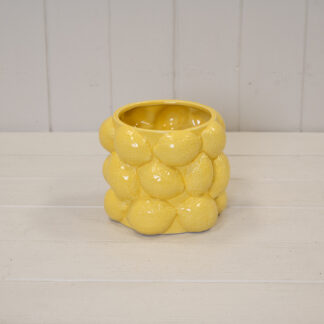 Zesty Lemon 3D Pot.